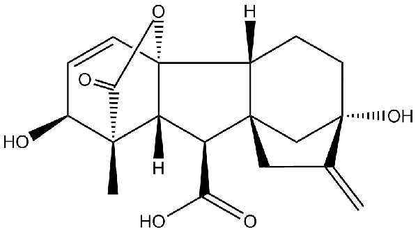 赤霉素GIBBERELLIC ACID，居然有這么神奇？